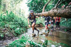 BIB: 
                            <button type="button" onclick="openModal(25515119)" class="btn btn-primary btn-sm float-right btn-popup" data-toggle="modal" data-target=".modal-high-quality">
                        <i class="fas fa-shopping-cart"></i> Add to Cart
                    </button>
                                            <button type="button" onclick="isThisMe(25515119, true)" class="btn btn-success btn-sm float-right btn-popup btn-isme hidden" data-toggle="tooltip" data-placement="bottom" title="นี่คือรูปของคุณใช่ไหม คลิกที่นี่เพื่อเอาเข้าอัลบั้ม">
                        <i class="fas fa-plus"></i> Add to album
                    </button>
                    <button type="button" onclick="isThisMe(25515119, false)" class="btn btn-warning btn-sm float-right btn-popup btn-isnotme hidden">
                        <i class="fas fa-ban"></i> Remove from album
                    </button>